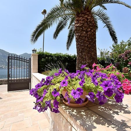 코토르 Maniva Penthouse By The Sea 아파트 외부 사진